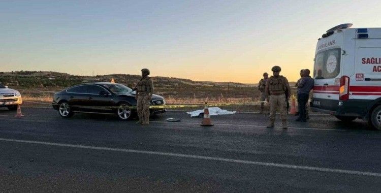 Diyarbakır’da yolun karşısına geçemeye çalışan çifte otomobil çarptı: 1 ölü, 1 yaralı
