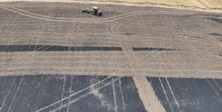 Trakya'da son iki haftadaki yangınlarda 2 bin 750 dekar ekili alan zarar gördü