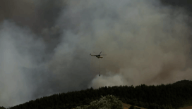 Sakarya'da yangın büyüyor: İki mahallede 25 ev boşaltıldı