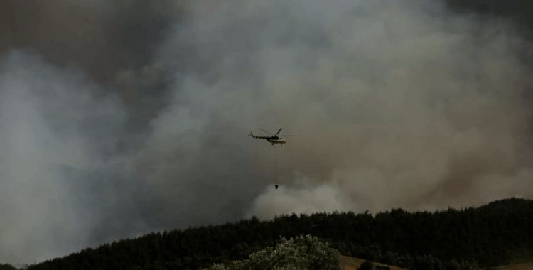 Sakarya'da yangın büyüyor: İki mahallede 25 ev boşaltıldı