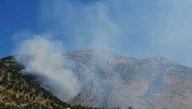 Kahramanmaraş’ta orman yangını
