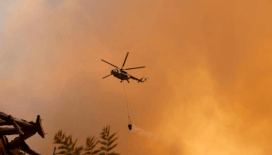 Orman yangınlarıyla mücadele sürüyor