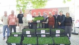 Mersin’de tarım destekleri üreticiyi sevindiriyor
