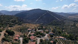 Orman yangınlarında bir gözaltı, bir tutuklama