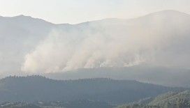 İzmir’de orman yangını sürüyor... Günün aydınlanmasıyla havadan müdahale yeniden başladı
