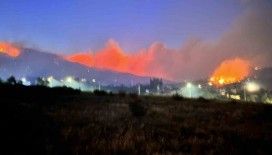 Hatay’da 12. saatte orman yangını sürüyor: Bin 800 kişi tahliye edildi
