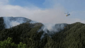 Yangın bilançosu ortaya çıktı: Son üç günde 263 yangın çıktı, 4'ü devam ediyor