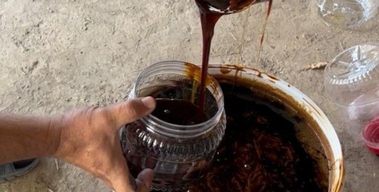 Tarım Müdürü Akar’dan kışa tatlı hazırlık
