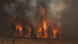 Orman yangınlarıyla ilgili gözaltına alınan 44 şüpheliden 10'u tutuklandı