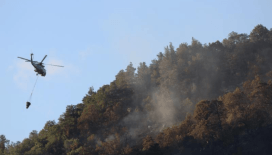 Fethiye'de çıkan orman yangını söndürüldü