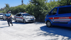 Hayvan parkından kaçan aslan aranıyor