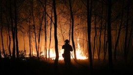 'Torba yasa ile ormanlar, zeytinlikler ve meralar sermayeye açılıyor' iddiasıyla ilgili DMM'den açıklama