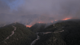 Sakarya'da başlayıp Bilecik'e sıçrayan yangın devam ediyor