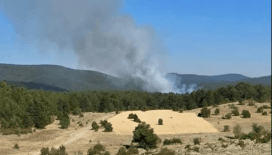 Eskişehir'de orman yangını