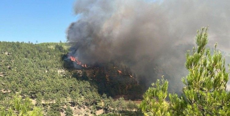 Denizli'de orman yangını çıktı: Ekipler alevlere müdahale ediyor