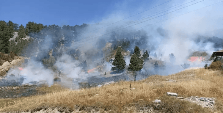Antalya'da 4 orman yangın kontrol altında, 2'sine müdahale sürüyor
