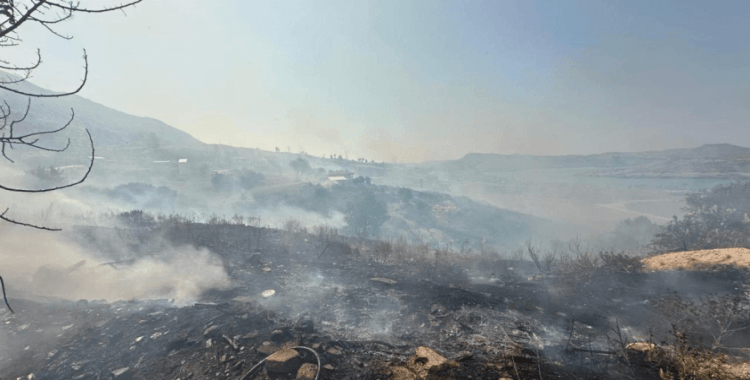 Antalya'da orman yangını: Havadan ve karadan müdahale ediliyor