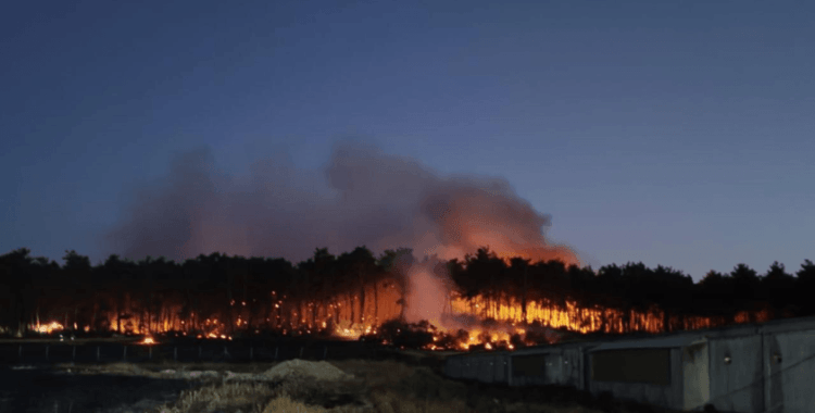 Balıkesir'deki orman yangınıyla ilgili 2 tutuklama