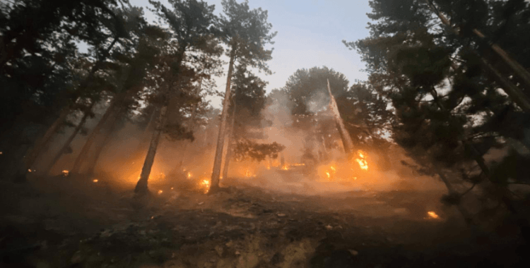 3 noktada orman yangınlarına müdahale sürüyor