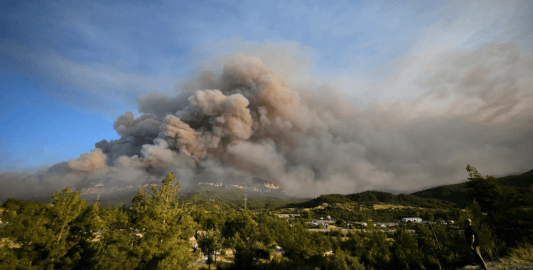 Bakan Kurum açıkladı: Orman yangınlarının bilançosu