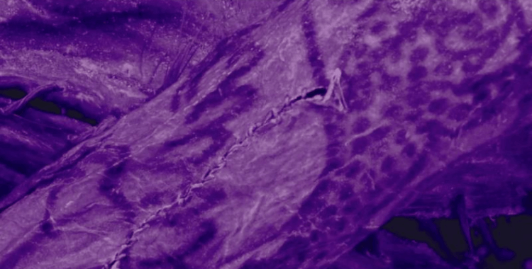 2 bin 500 yıllık mumyada dövme olduğu tespit edildi