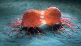 Sağlık Bakanlığı ücretsiz kanser taramaları için SMS bilgilendirmesi başlattı