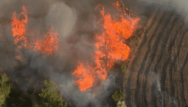 Adana'da orman yangını çıktı
