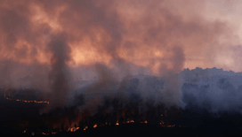 İspanya 20 büyük orman yangınıyla mücadele ediyor