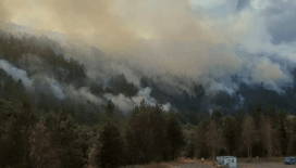 Bolu'da orman yangını: Kara yolu ulaşıma kapatıldı