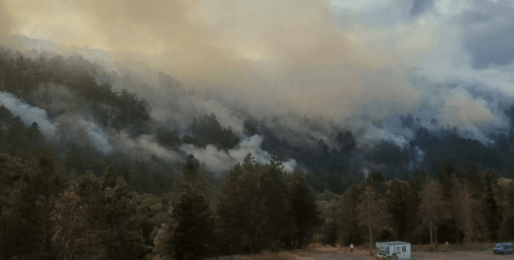 Bolu'da orman yangını: Kara yolu ulaşıma kapatıldı