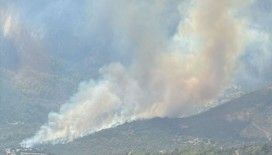 Muğla'da ormanlık alanda yangın çıktı: Rüzgarın etkisiyle büyüyor