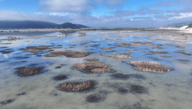Kuraklık yaşayan göller için kritik müdahale