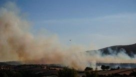Balıkesir'in Susurluk ilçesinde çıkan orman yangınına müdahale ediliyor