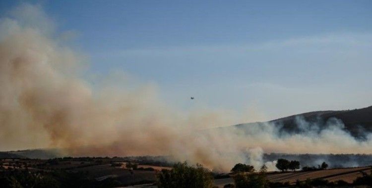 Balıkesir'in Susurluk ilçesinde çıkan orman yangınına müdahale ediliyor
