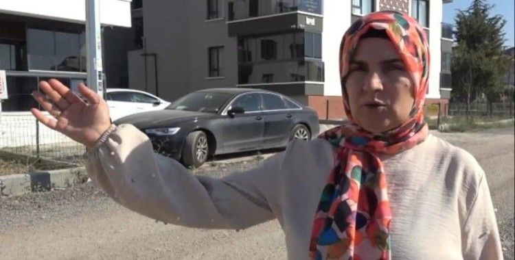 Köpeğini gezdirirken tasmasız kangalların hedefi oldu