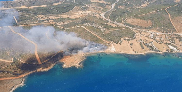 İzmir Seferihisar'da orman yangını: 7 uçak, 8 helikopter sevk edildi