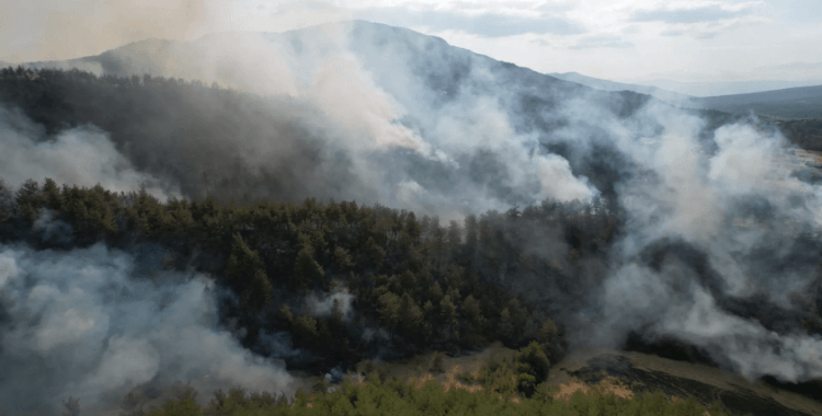 Karabük'te başlayan orman yangını Kastamonu'ya ulaştı: 5 yerleşim yeri boşaltıldı