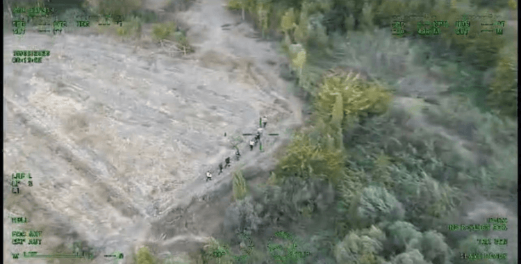 Diyarbakır'da piyasa değeri 1 milyar lira olan 12 bin 865 kök kenevir ele geçirildi