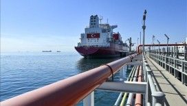 Rusya'nın Türkiye'deki gaz payı hızla düşüyor