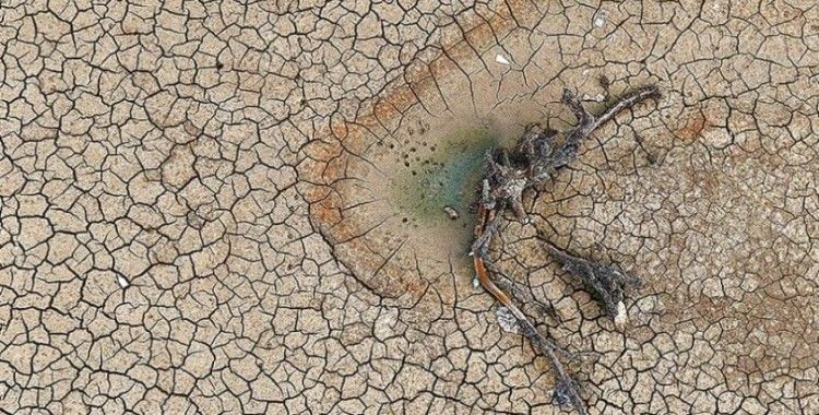 Gölbaşı göleti 5 ayda kurudu: Ovalar alarm veriyor