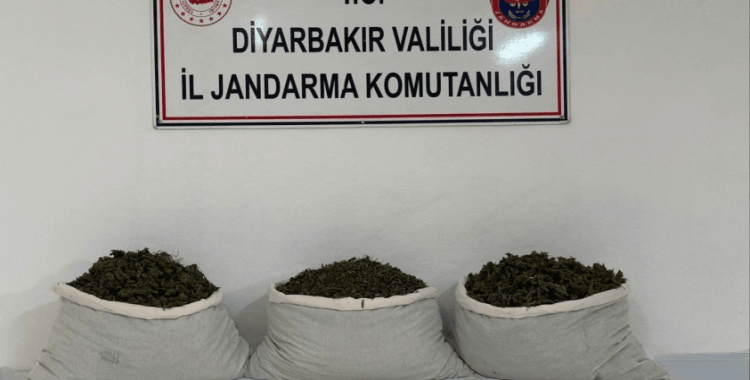 Diyarbakır'da 15 kilo skunk ele geçirildi
