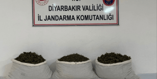 Diyarbakır'da 15 kilo skunk ele geçirildi
