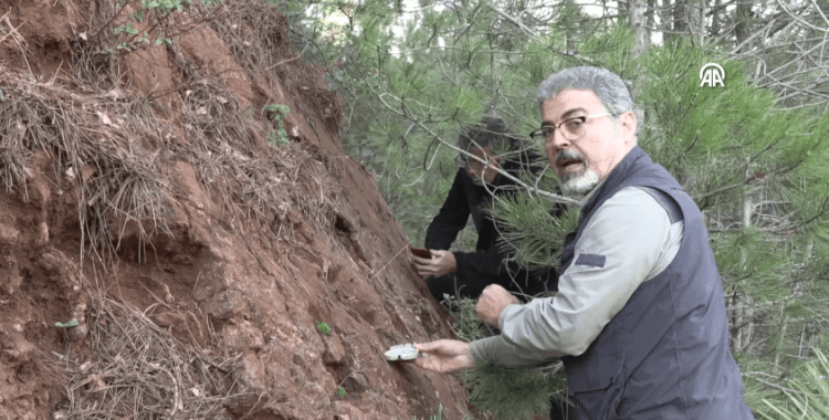 Depremlerin neden bitmediği ortaya çıktı: 'Ölü faylar dirildi'