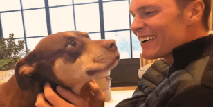 Tom Brady, ölen köpeğini klonlattı