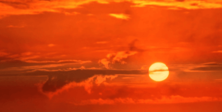 Dünya Meteoroloji Örgütü: 2025 kayıtlardaki en sıcak ikinci veya üçüncü yıl olacak