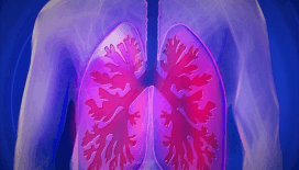 DSÖ yıllık verileri açıkladı: Dünyanın en ölümcül bulaşıcı hastalığı