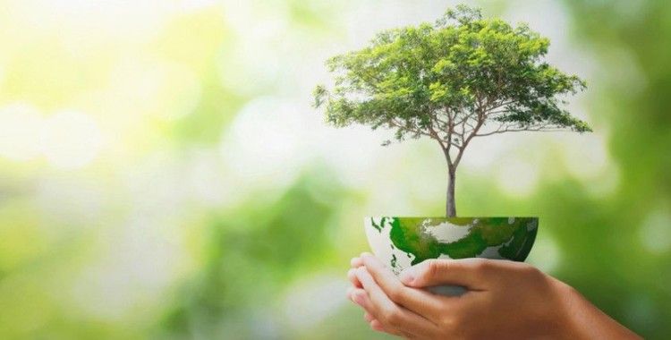 Türkiye'den Mavi ikinci sırada | Time Dergisi açıkladı: Dünyanın sürdürülebilir büyüyen en iyi şirketleri