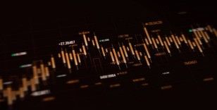 Bank of America anketi: Yeni yılda hangi yatırımlar kazandıracak?