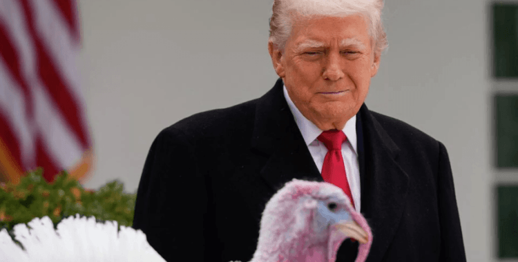 Trump, 2 hindiyi affetti: 'Hindilerden biri kayboldu'