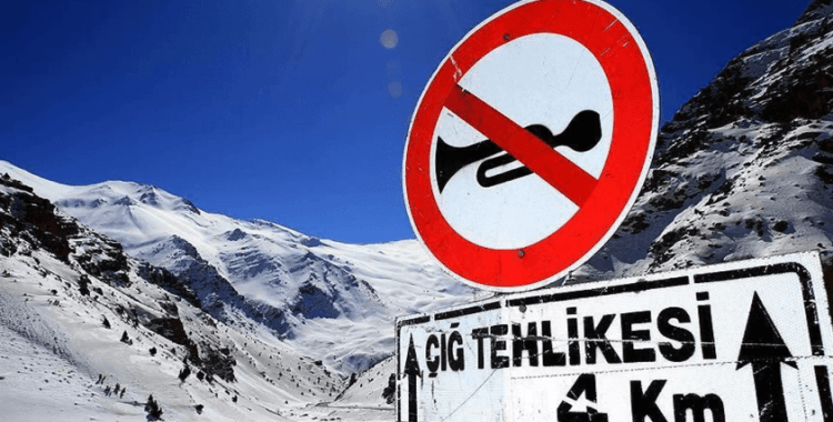 Van’da çığ düştü: 1 kişi kayıp, 22 ev tahliye edildi